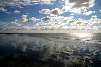 Foto: Paul van Wijngaarden