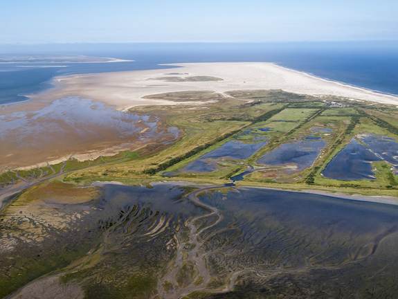 Luchtfoto Vlieland met geulen, platen, kwelder en strand. Foto: Jan Huneman