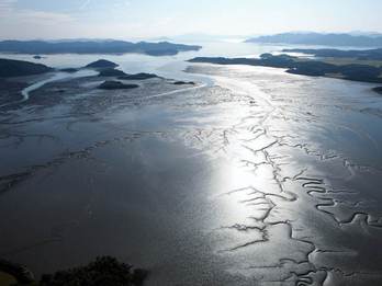 Waddengebied aan de westkust van Zuid-Korea (bron: antiquealive.com)