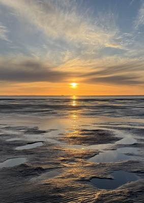 Cover jaarverslag Waddenacademie 2025