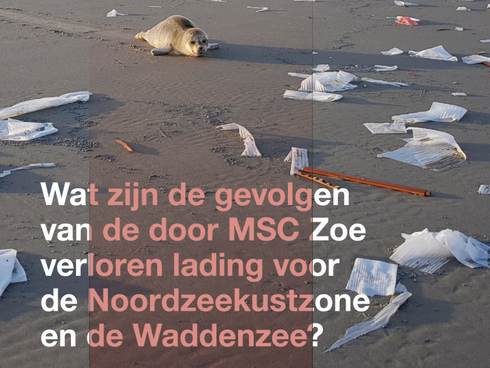 Cover advies microplastics