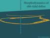 [] Cover thesis Wim Ridderinkhof