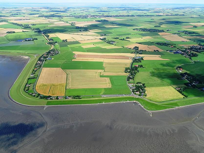 Verlorenhörn, Noord-Duitsland. Foto: Karsten Reise