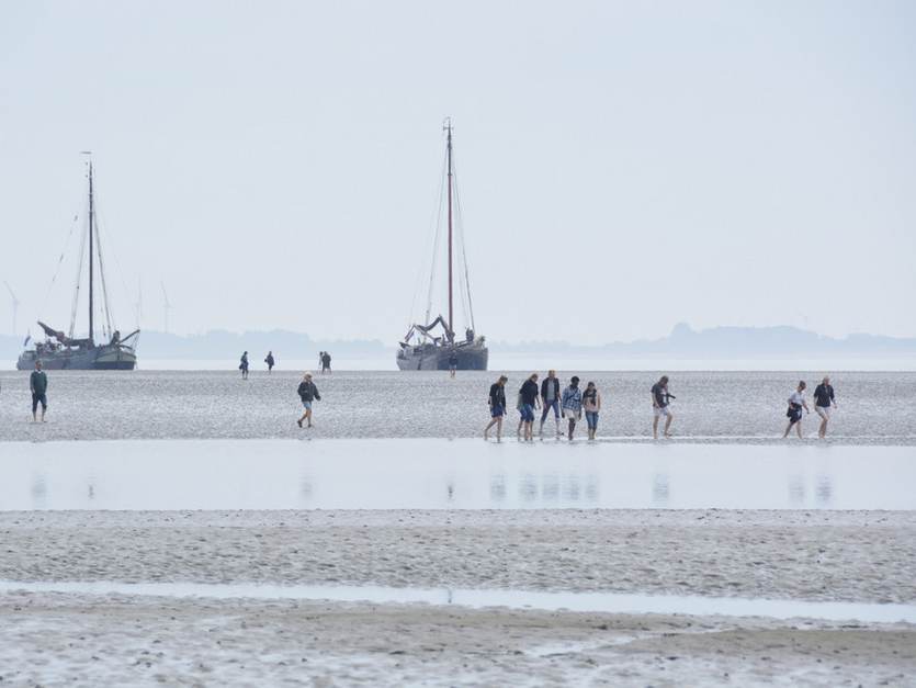 Nieuwsbrief voor Statenleden november 2020