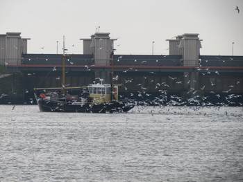 Visser op het Wad voor de sluizen van Kornwerderzand. Foto: TS