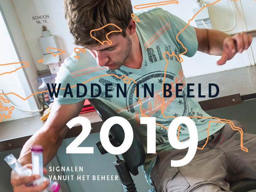 Cover van Wadden in beeld 2019