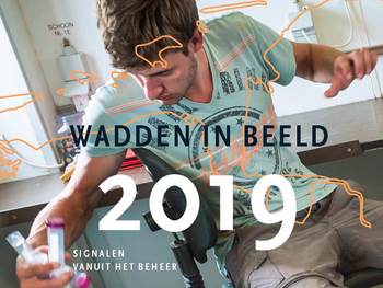 Cover van Wadden in beeld 2019