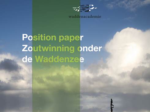 Cover position paper zoutwinning