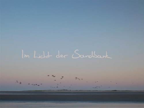 In the light of the sands movie trailer