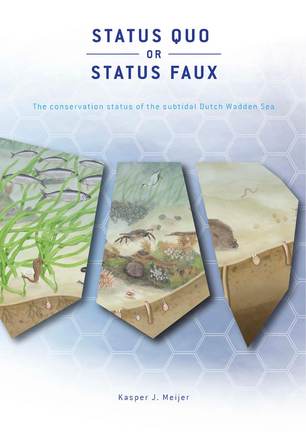 Cover thesis Kasper Meijer