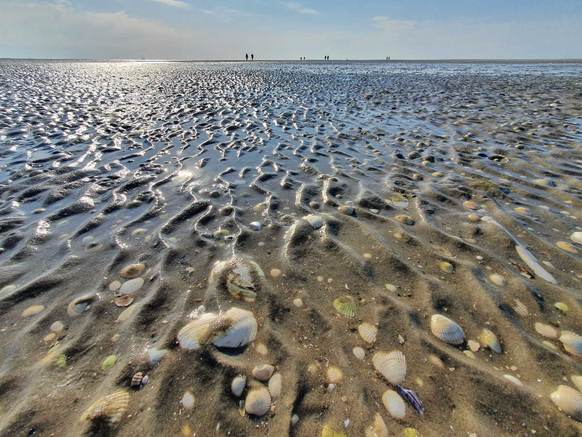 De Waddenzee lijkt een rustige plek. Wie beter kijkt ziet veel menselijke activiteit. Foto: Oscar Franken 