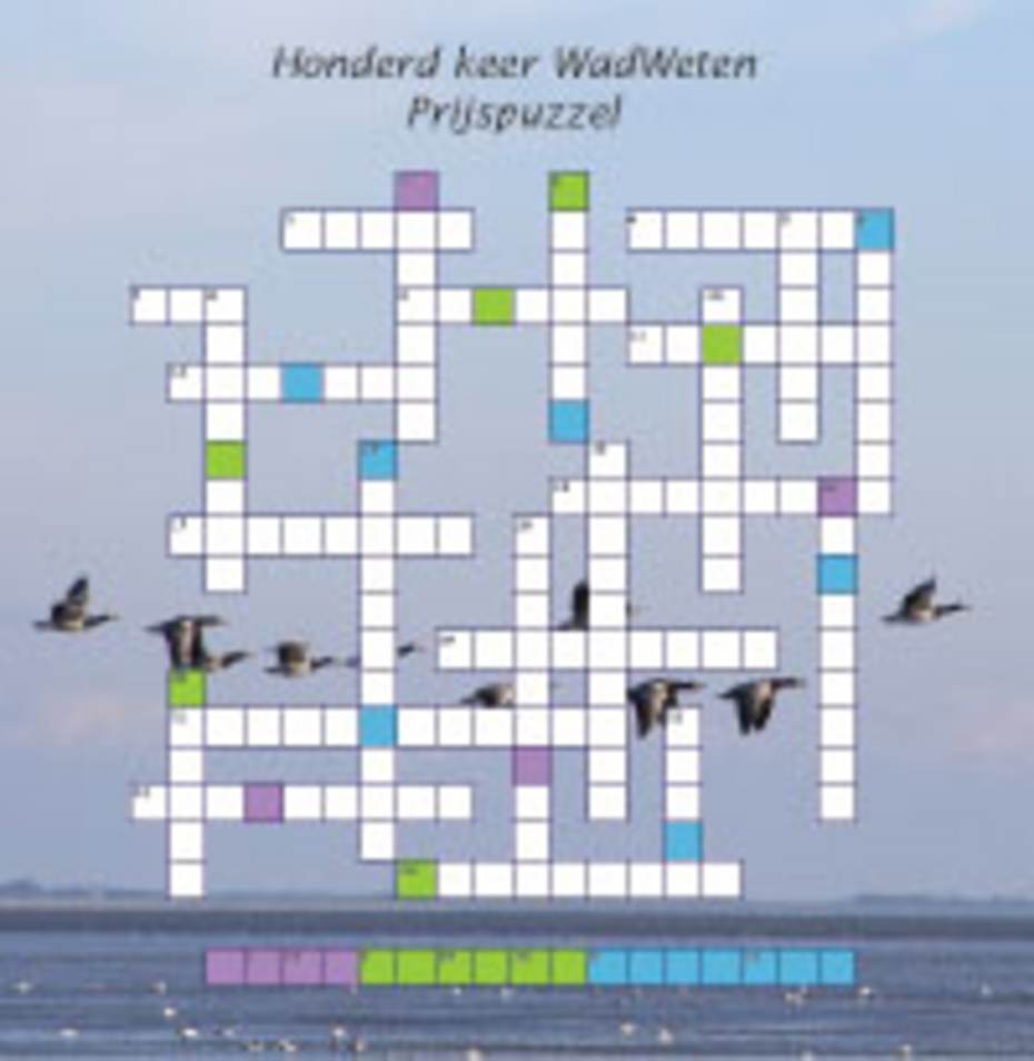 Klik op de afbeelding om de pdf te openen