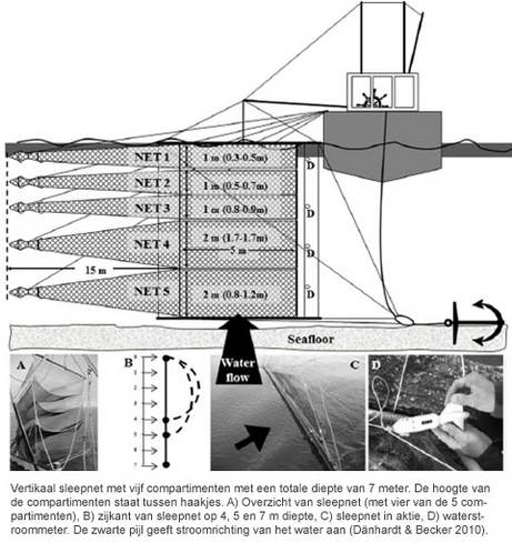 Figuur 1: Vertikaal sleepnet met vijf compartimenten met een totale diepte van 7 meter. De hoogte van de compartimenten staat tussen haakjes. A) Overzicht van sleepnet (met vier van de 5 compartimenten), B) zijkant van sleepnet op 4, 5 en 7 m diepte, C) s