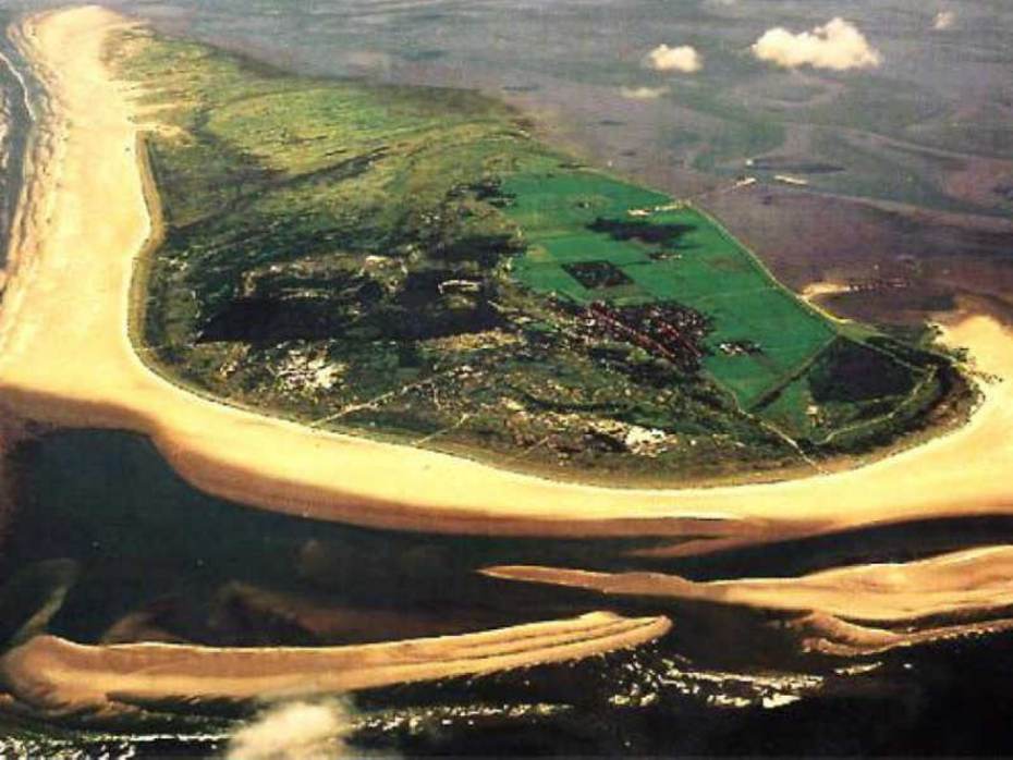 Aangelande zandhaak op Schiermonnikoog in 1994 (Bron Oost & Nederhoff, 2017)