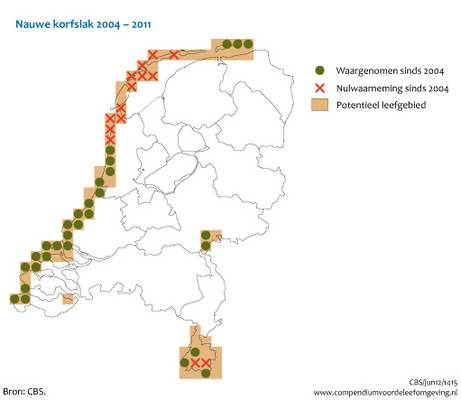 Kaart met verspreiding nauwe korfslak in Nederland 2004-2011. Bron:CBS.