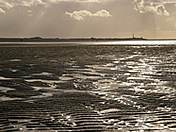 Zandplaat bij de Hors, Texel. Foto: fotofitis.nl