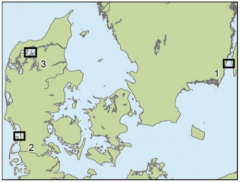 Op drie verschillende locaties zijn de geluiden van gewone zeehonden onderzocht: in het Kalmarsund (Måsklippan) in Zweden (1); de Waddenzee (Juvre Dyb) (2); en in het Limfjord (Blinerøn) (3). Bron: Sabinsky et al 2017