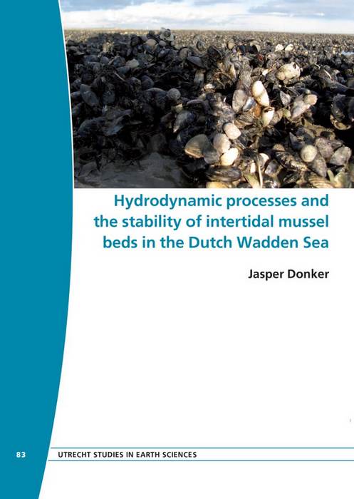 Cover proefschrift Jasper Donker
