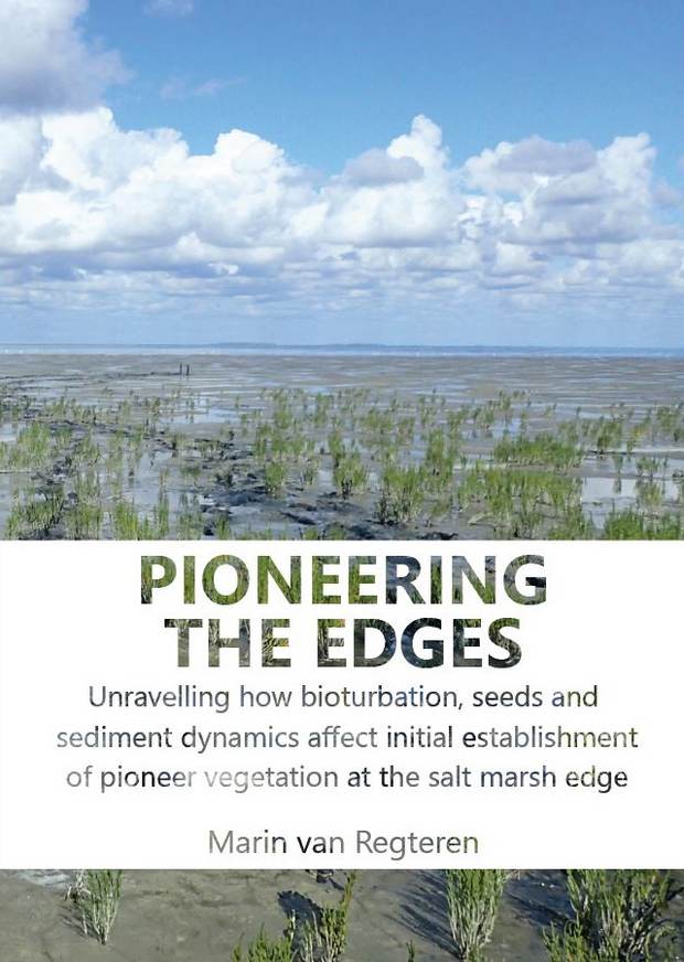 [Translate to english:] Cover thesis Marin van Regteren