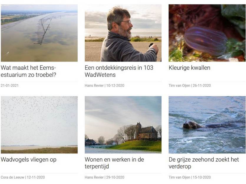 Sinds 2009 zijn er honderden WadWetens verschenen
