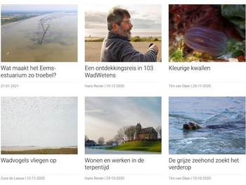 Sinds 2009 zijn er honderden WadWetens verschenen