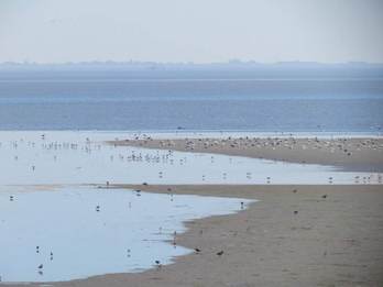 Droogvallende plaat nabij Ameland. Foto:TS