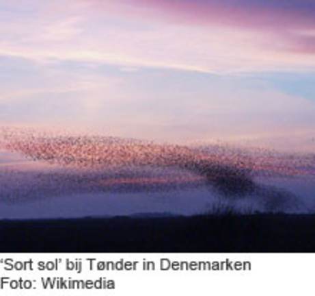 'Sort sol' bij Tønder in Denemarken. Foto: Wikimedia