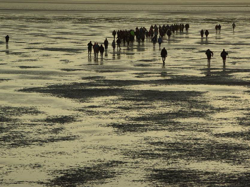 Wadlopers. Foto: beeldbank RWS