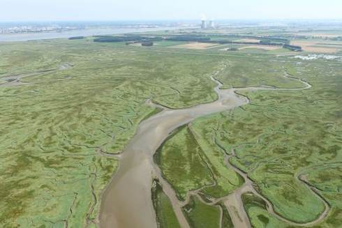 Verdronken Land van Saeftinghe. Foto: https://beeldbank.rws.nl