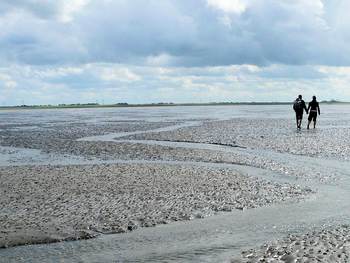 Wadlopen in hetWerelderfoed Waddenzee. Foto: Hans Braxmeijer via pixabay