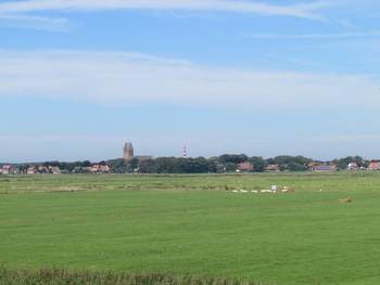 Weilanden bij Hollum, Amleand
