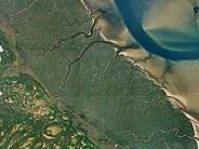 Satellietfoto van het kweldergebied aan de oostzijde van Skallingen. Bron: Google Earth