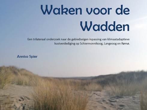 Cover scriptie Annisa Spier