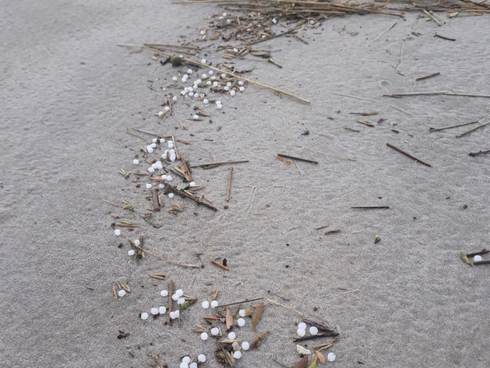 Aangespoelde plastic korrels in de vloedlijn. Foto: Rijkswaterstaat.