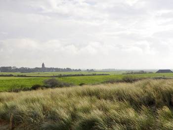 De eilandgemeenten, zoals Ameland doen het beter dan de haven- en vastelandgemeenten. Foto: Harry Muermans via Saxifraga