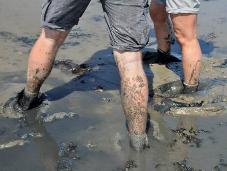 Onderzoekers in de modder. Foto: Luca van Duuren