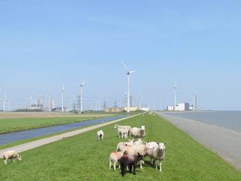 Zicht op de Eemshaven vanaf de dijk.