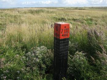 Het groene strand op Ameland, ten noordwesten van Ballum. Foto: Johan Krol