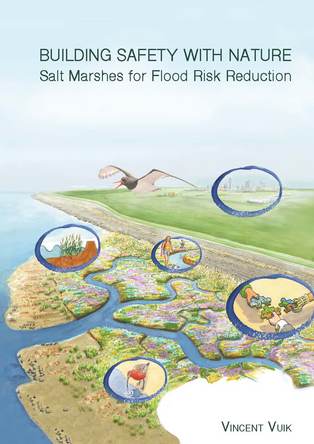 Thesis Vincent Vuik Thesis Vincent Vuik