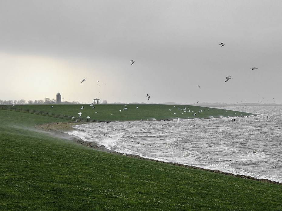 Een frisgroene dijk bij stormachtig weer, in de buurt van Noorderleeg. Bron: Henk Postma 
