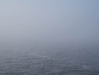 Mistige Waddenzee. Foto: Reyer Boxem_Noorderbreedte