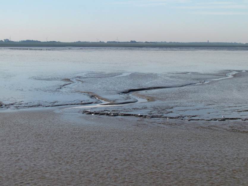 De vaargeul naar Ameland die door dichtslibben steeds moeilijker begaanbaar wordt. Foto: TS