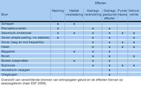 Overzicht van verschillende bronnen van antropogeen geluid en de effecten hiervan op zeezoogdieren (naar ESF 2008).