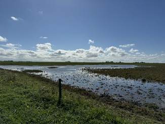 Kwelders bij Marrum. Foto: TS