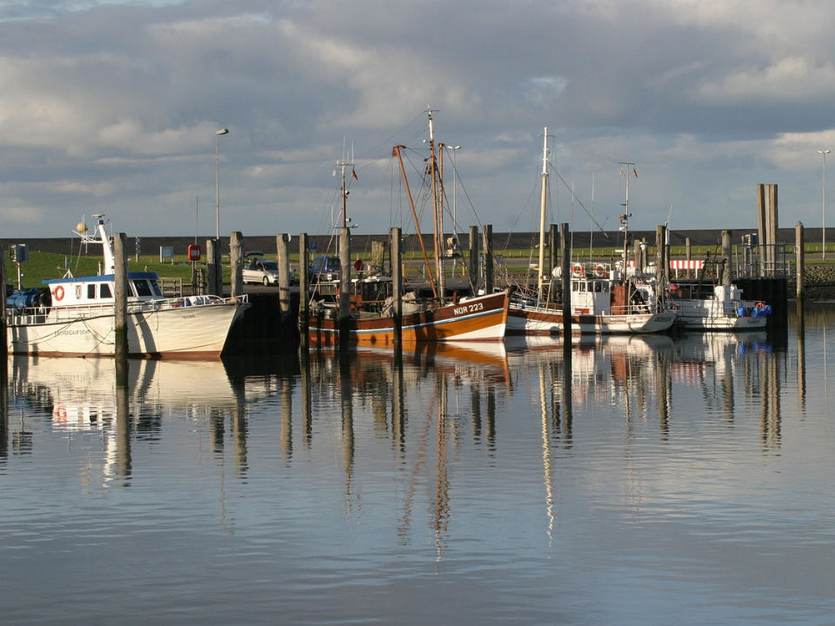 [Translate to english:] Schepen in de jachthaven van Norddeich aan de Duitse waddenkust. Foto: Pixabay