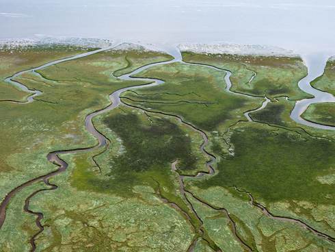 Luchtfoto van kwelderlandschap Schiermonnikoog. Foto: beeldbank RWS. Joop van Houdt