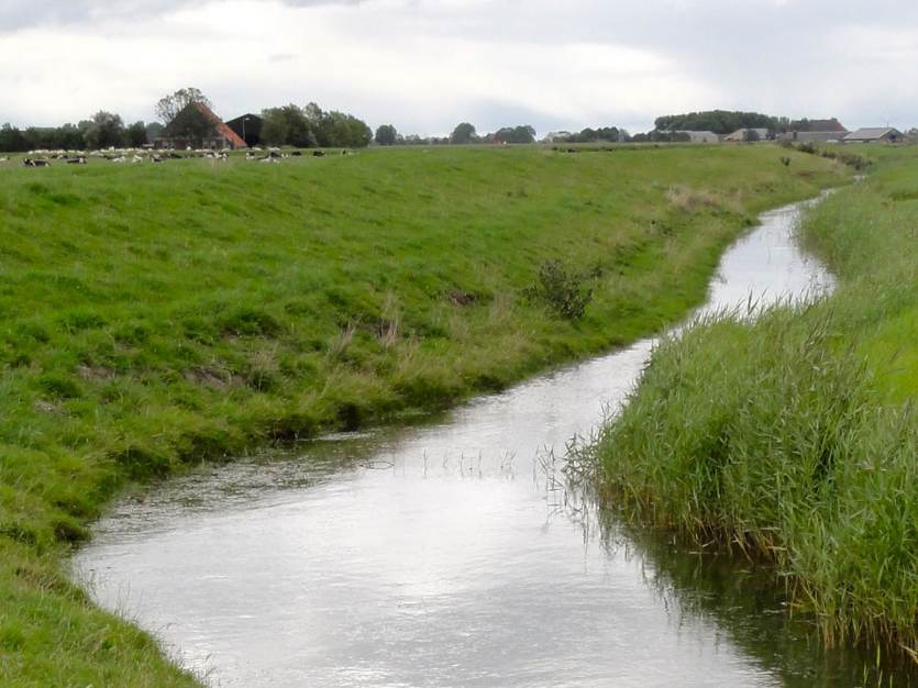 De Pingjumer Gulden Halsband ten zuidwesten van Pingjum. Foto: Door Gouwenaar - Eigen werk, CC0, https://commons.wikimedia.org/w/index.php?curid=15959597
