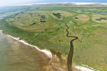 Boschplaat Terschelling. Foto: Beeldbank RWS, Joop van Houdt.