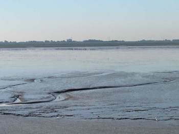 Beeld van het Wad bij Holwerd. Foto: TS