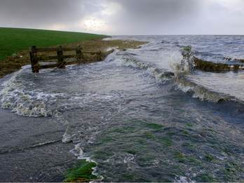 Hoog water tijdens storm bij de dijk van Wierum. Foto: Henk Postma
